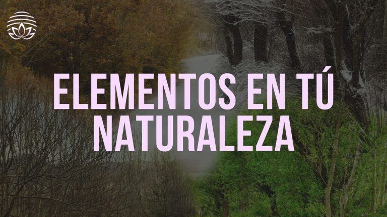 Elementos en Tú Naturaleza