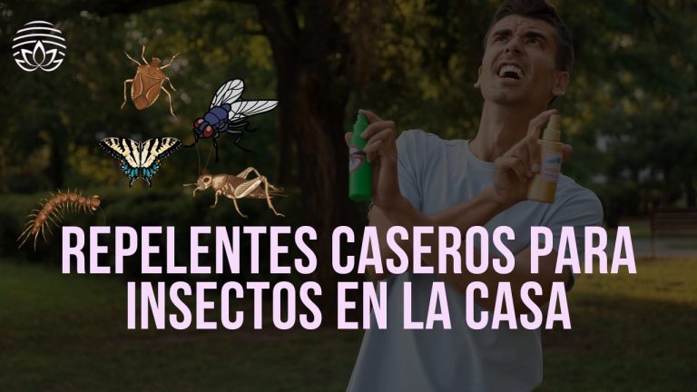 Repelentes caseros para insectos en la casa.