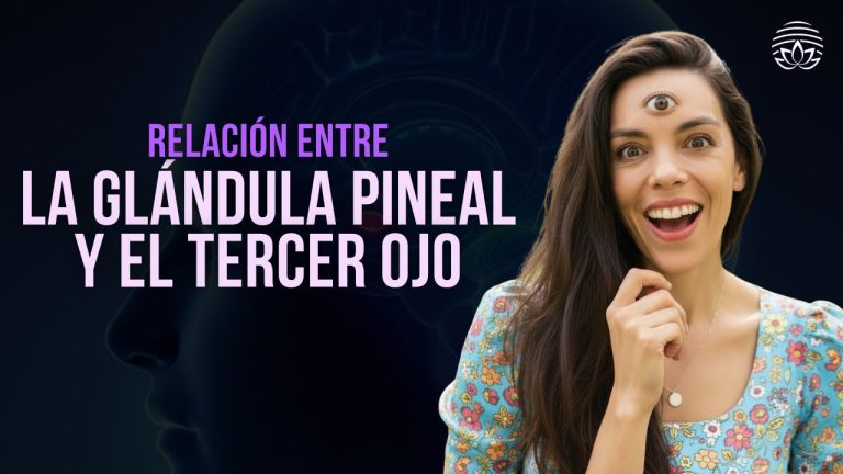 La Relación de la Glándula Pineal y el Tercer Ojo
